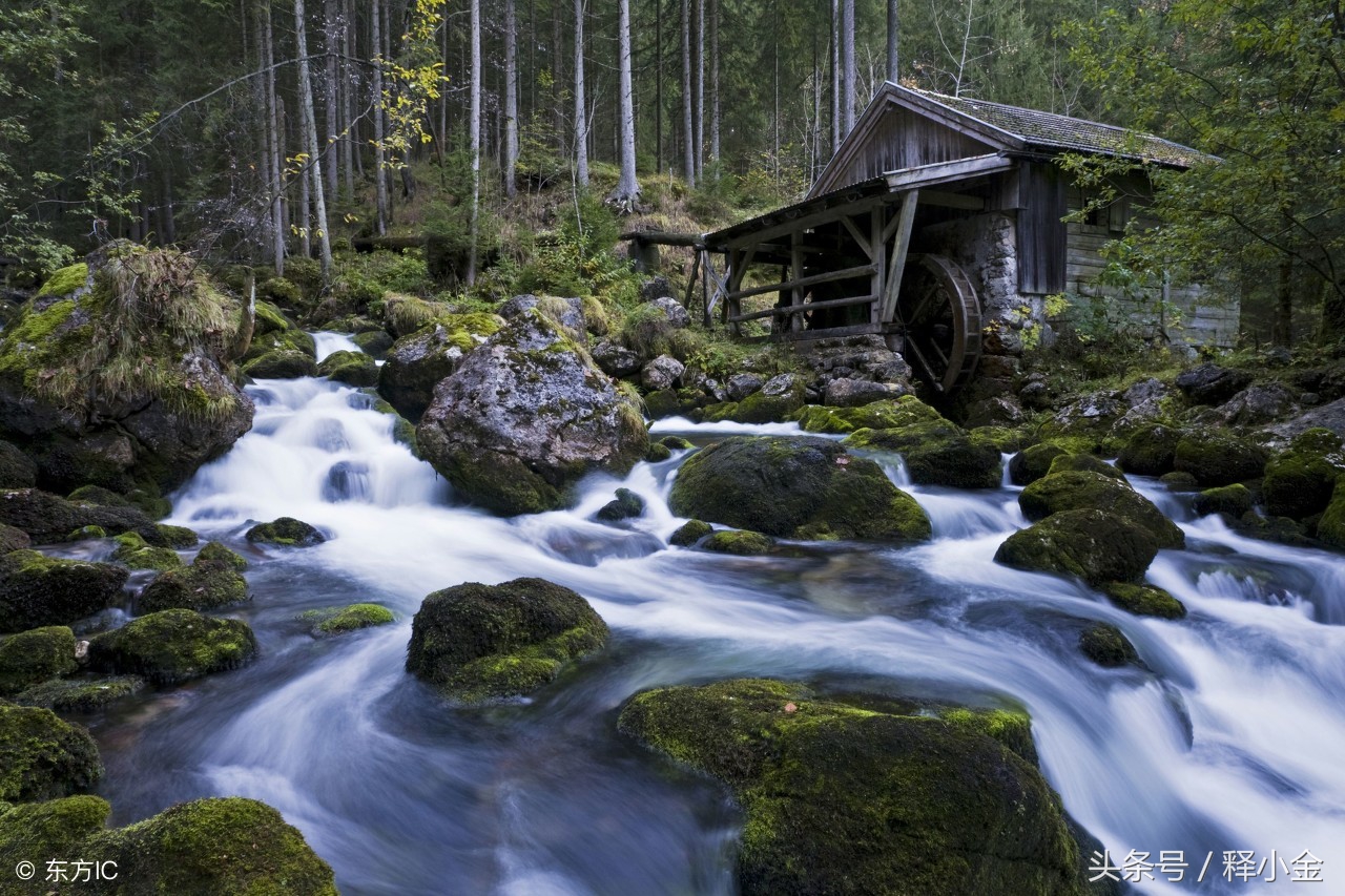 成语过犹不及告诉我们什么,成语过犹不及怎么办