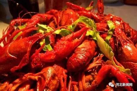 茄子不能竖着吃,茄子不要老是炒着吃