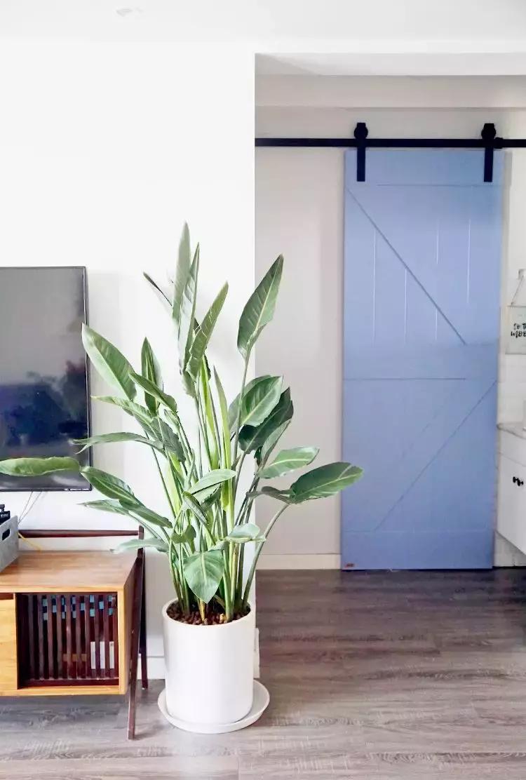 推拉门差异化型材,推拉门款式避坑