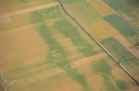 盗墓界最怕什么东西,盗墓最怕哪种怪物