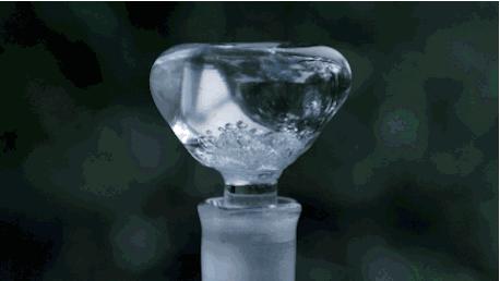 透明到近乎赤裸，是怎样一夜之间流行起来的？