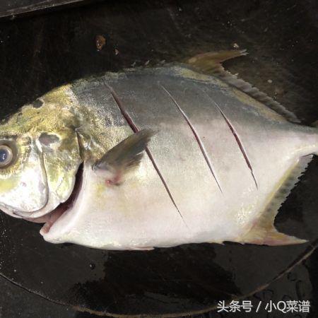 白鲳鱼红烧好吃还是清蒸好吃,白鲳鱼清蒸的正确做法