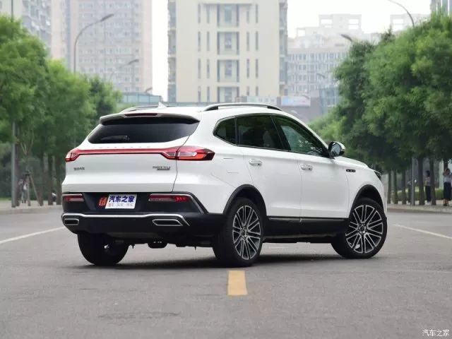 只要20万!“*博兰**基尼SUV”开回家,全村人都围观!