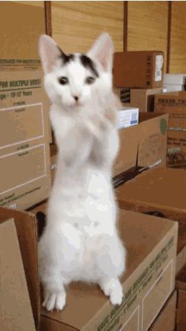 日常美白提亮肤色用什么,想要美白提亮水光怎么搭配