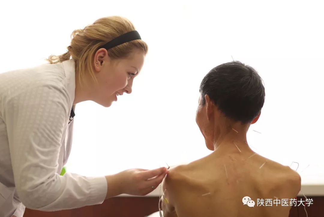 陕西中医药大学针灸推拿学院地址,陕西中医药大学推拿学院