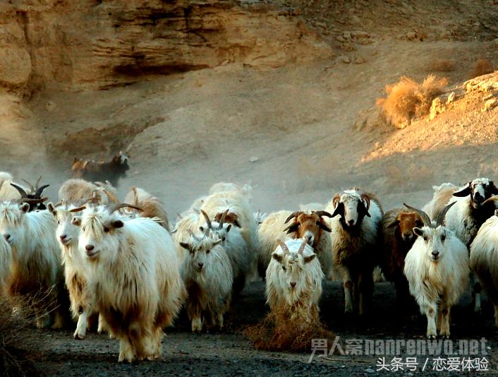 谈恋爱各种技巧,谈恋爱的技巧和方法大全