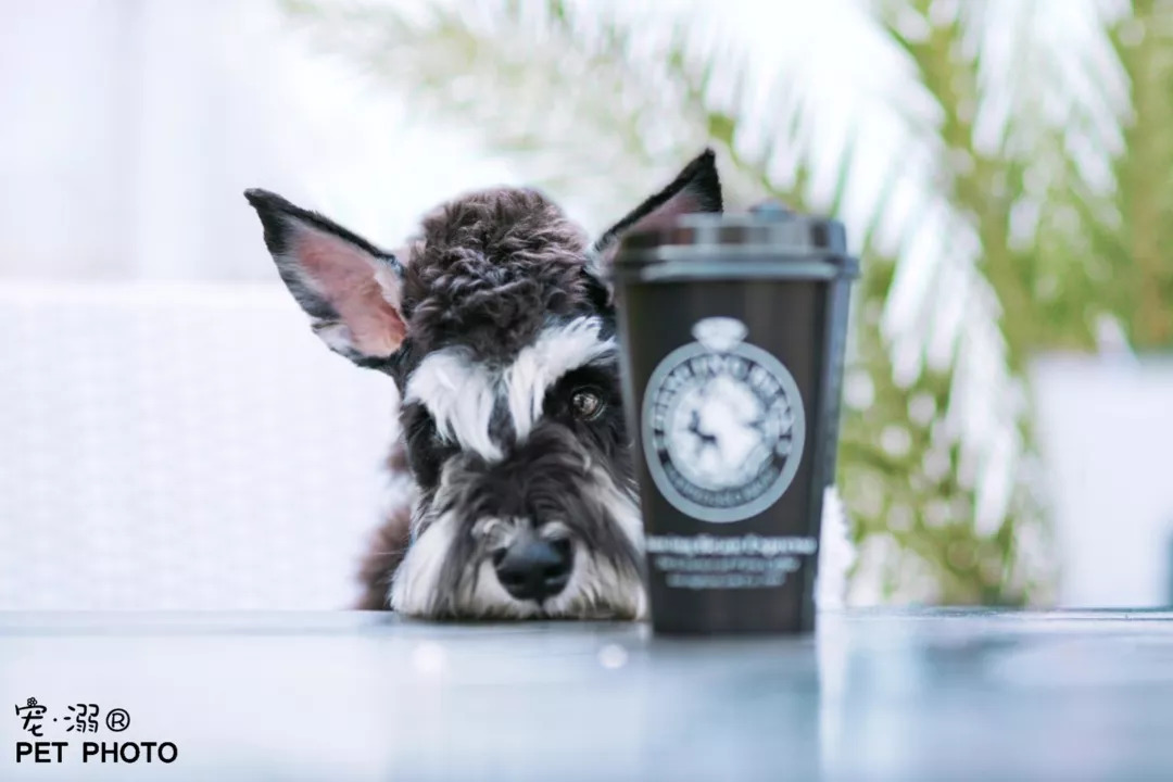 我们采访了几个90后摄影师,一起探讨他们到底穷不穷?