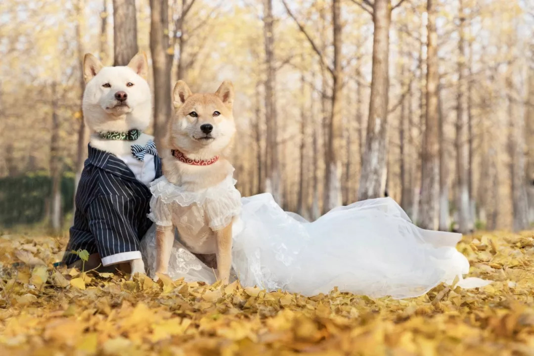 我们采访了几个90后摄影师,一起探讨他们到底穷不穷?