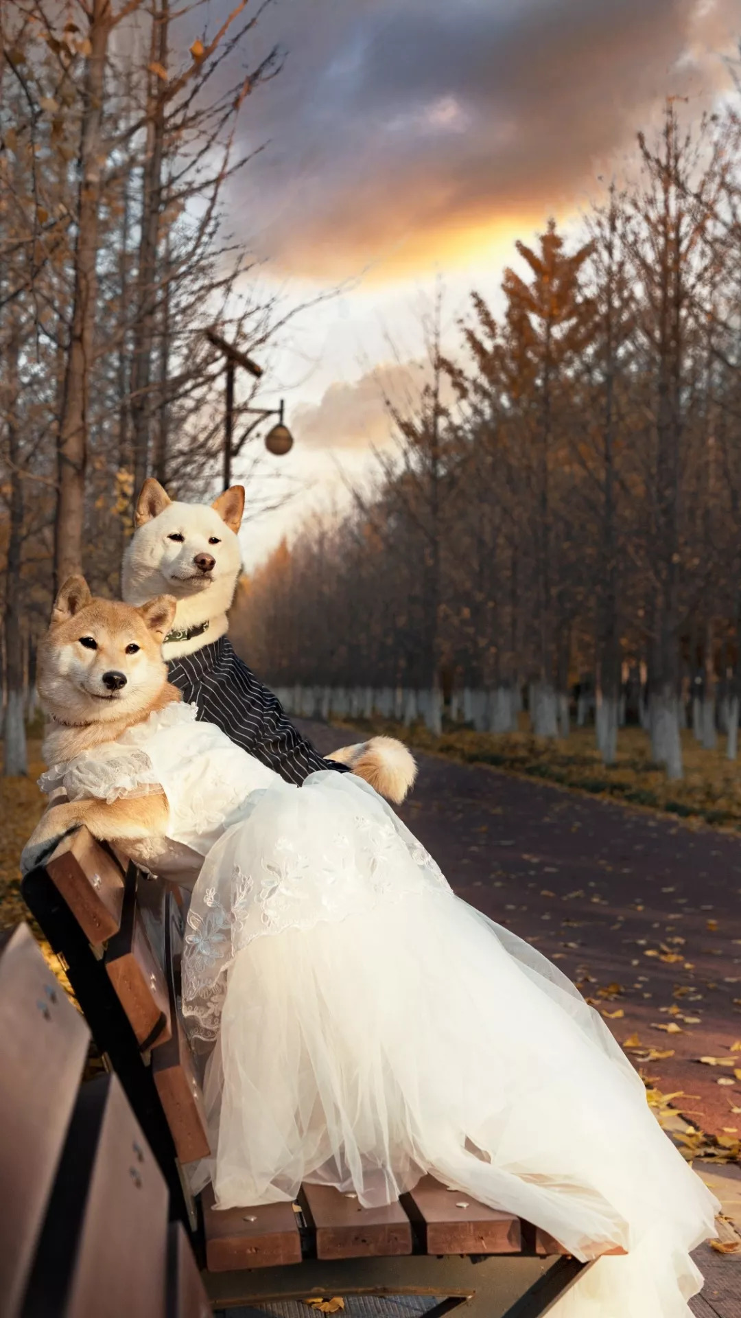 我们采访了几个90后摄影师,一起探讨他们到底穷不穷?