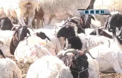 感冒十天了还不好是什么原因,感冒十来天还不好怎么回事