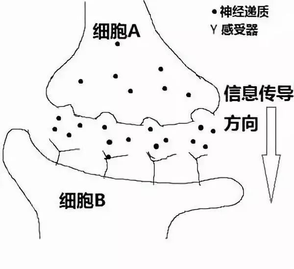 戒毒后为什么那么痛苦,戒毒为什么全身疼