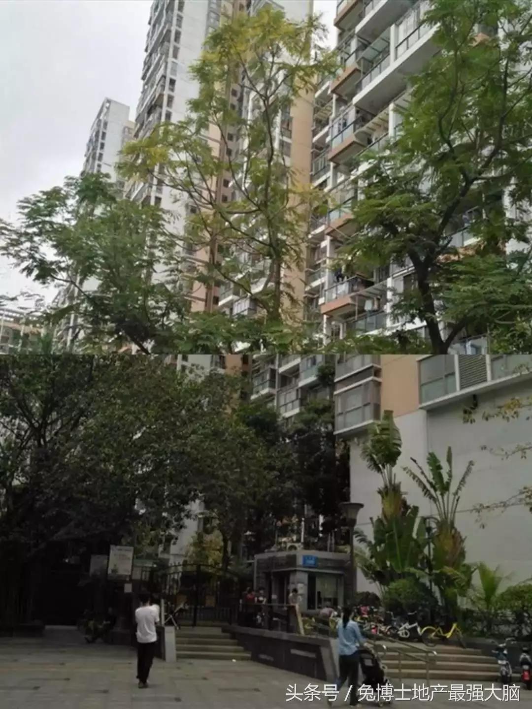 深圳看房记录,深度分析南山学区房