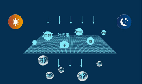找甲醛公司除甲醛有效吗,什么去甲醛最快最有效