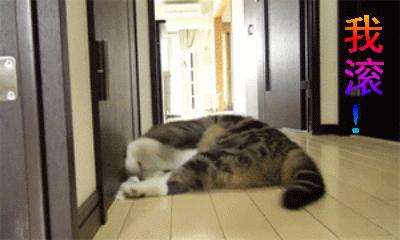 给我滚——骂出幽默的搞笑动图文字表情包