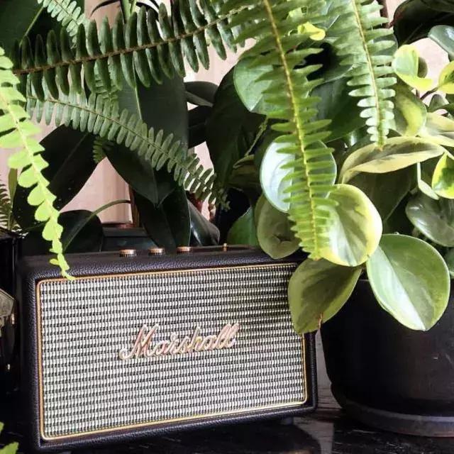 宅在家的正确姿势你get到了吗,炎热的夏天宅在家里来点小乐趣