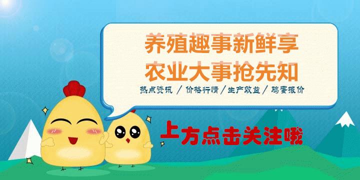 农村怎么致富最快最有效,月入2万的10个小生意农村致富实例