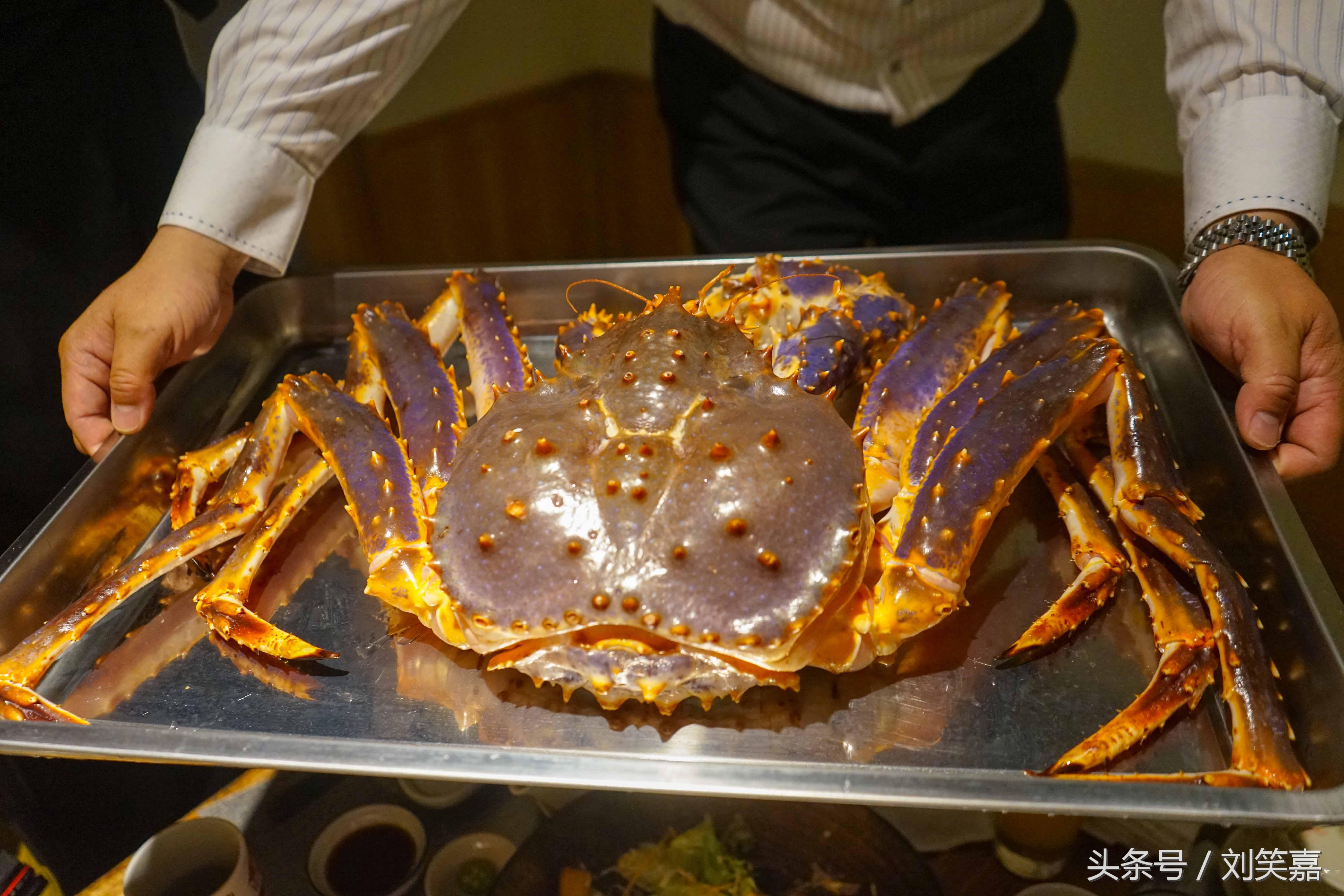 wasabi是芥末吗,wasabi芥末