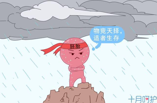 一般备孕多久后可以怀孕,一般备孕多久才可以怀孕