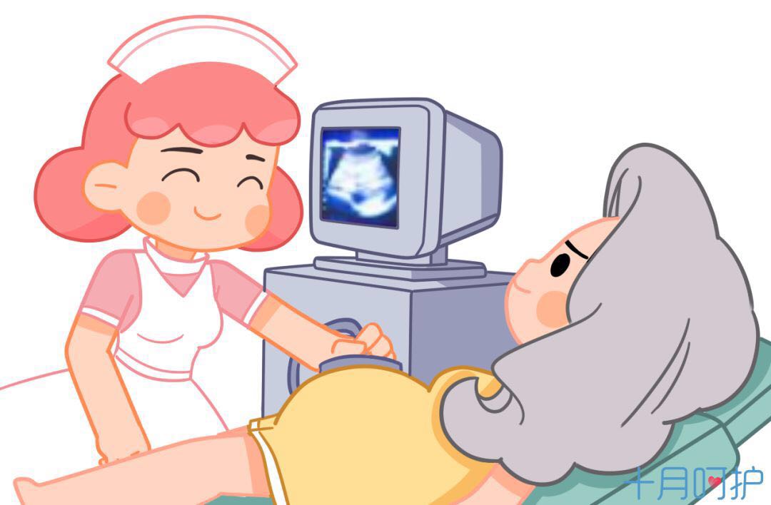 一般备孕多久后可以怀孕,一般备孕多久才可以怀孕