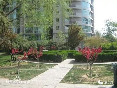 高考丨东城清北何处寻？今天点评和平里