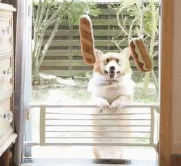 关于「瘦腿」,你想问的所有问题,答案都在这里