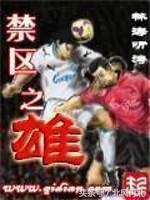 关于世界杯的足球小说推荐,好看的世界杯小说推荐