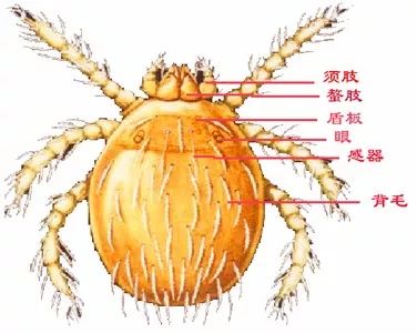 古人和你说“别来无恙”，其实是嫌弃你