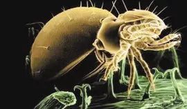 古人和你说“别来无恙”，其实是嫌弃你