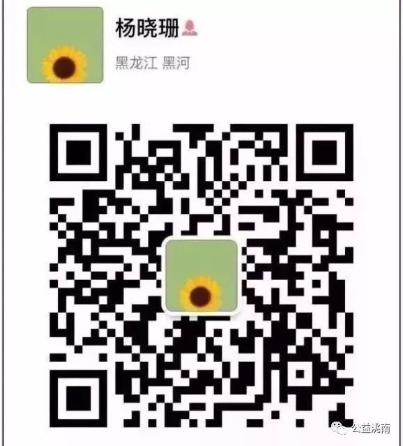 日行一善好人好事记录,24年好人好事榜