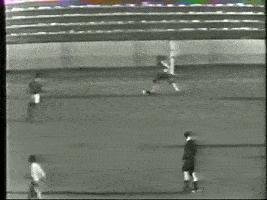 世界杯球王传奇完整版,贝利第三次捧起世界杯