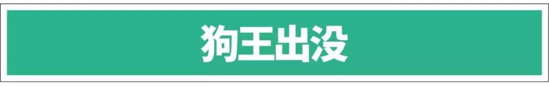 白手起家亲身经验,白手起家的六种方法