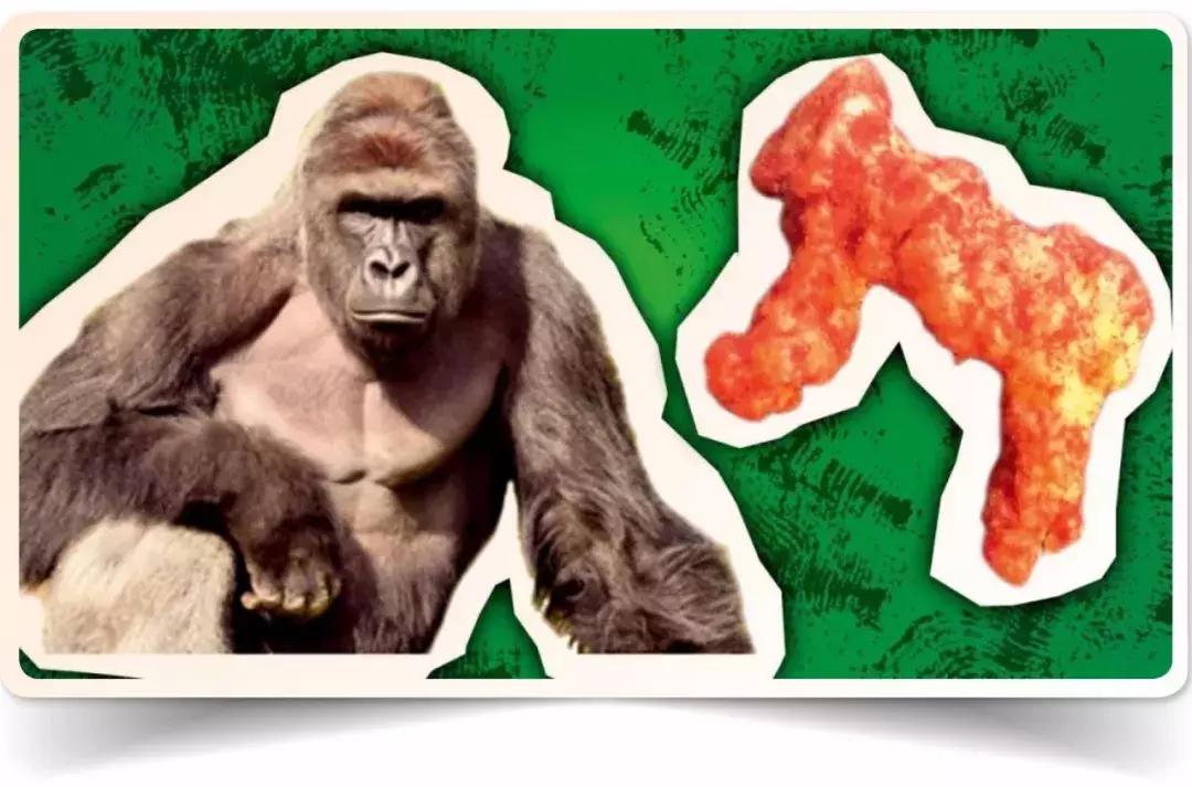 白手起家亲身经验,白手起家的六种方法