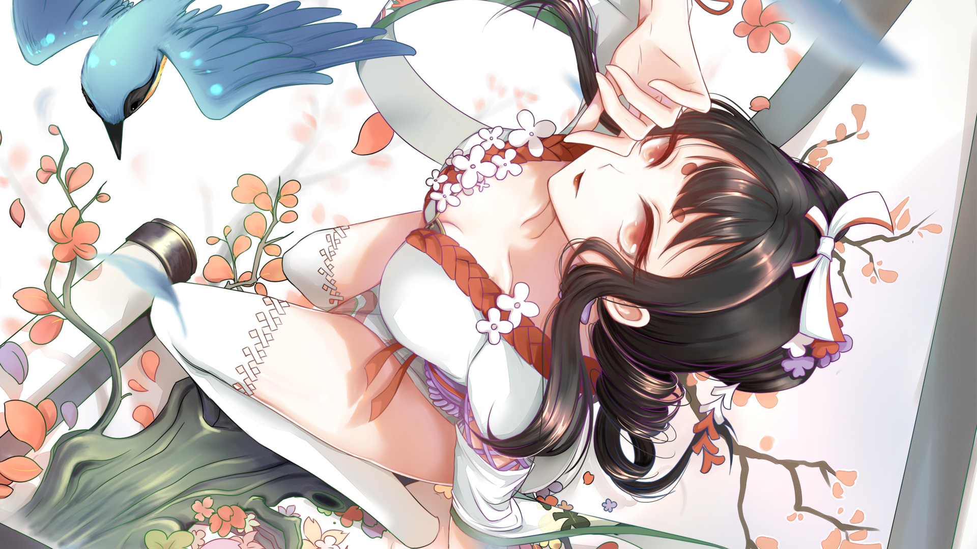 阴阳师ssr实用度排行2022,阴阳师ssr有多少呱