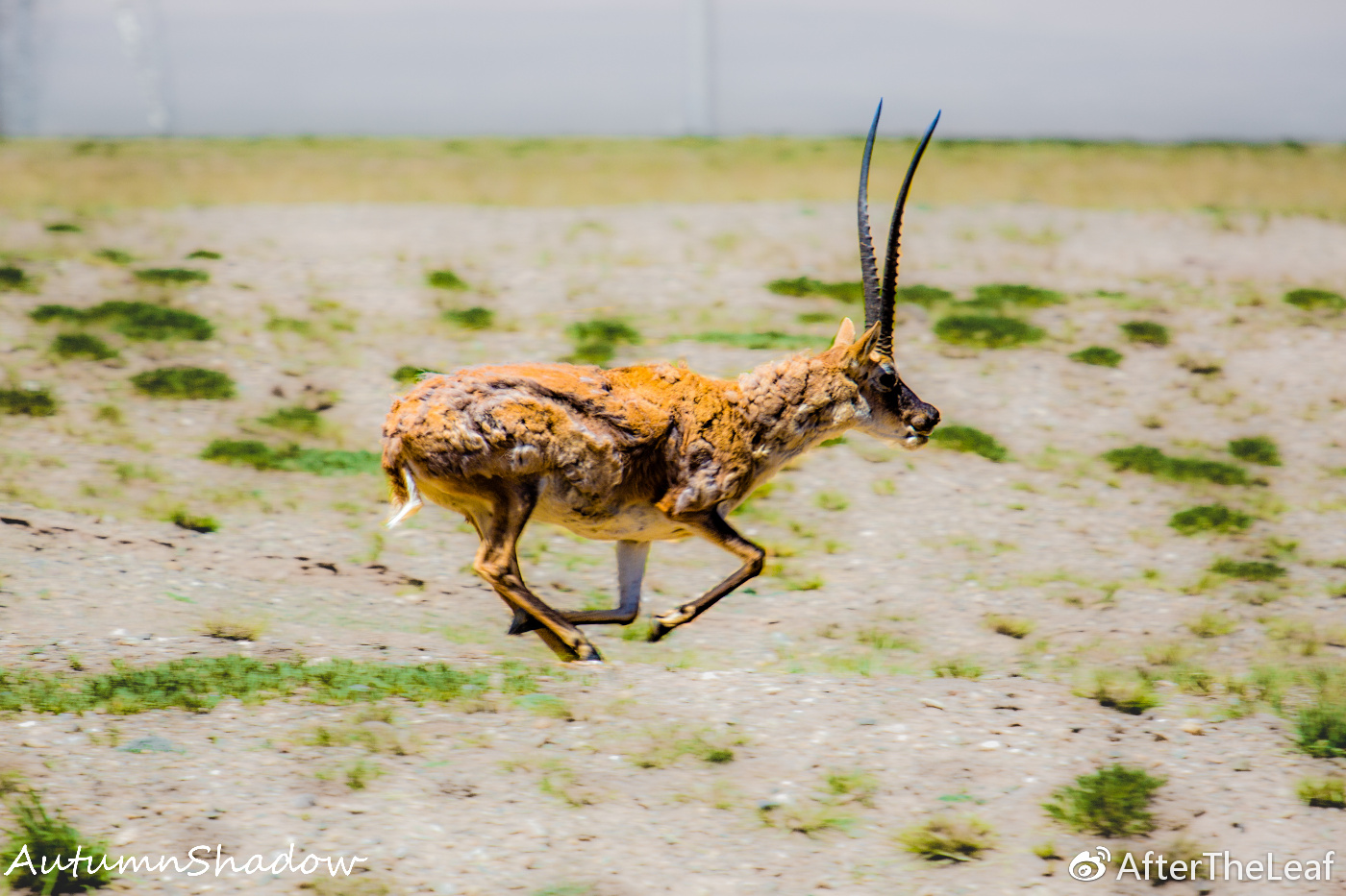 鎽勫奖鍓緫鑷鍏ラ棬,鍓槧鎽勫奖鍏ラ棬鏁欑▼