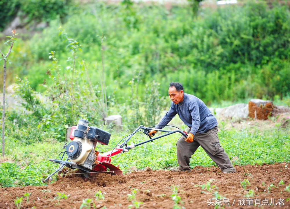 只有清凉无“热火”,川北避暑来“朝天”