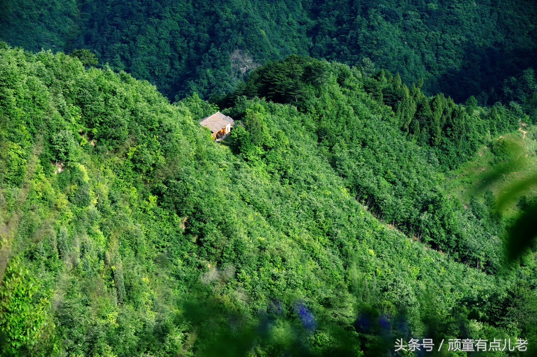 只有清凉无“热火”,川北避暑来“朝天”