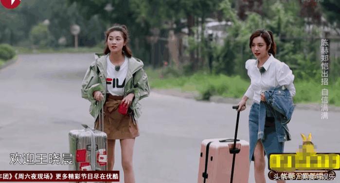 王晓晨郑恺陈赫,青春同学会陈赫郑恺提问