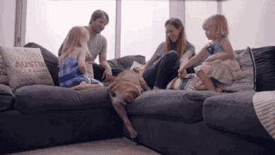 咖啡色沙发配什么地毯,中式沙发配什么地毯