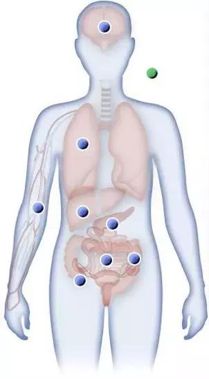 dc-cik治疗肝癌存活率多久,肝癌早期一线药物fda