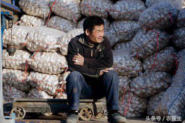 “蒜你狠”变“蒜你贱”，蒜农如何*局破**？