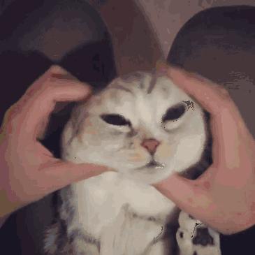 不剁手,不剁手不吃土让国产化妆刷告诉你