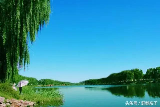 下面这几个烧烤圣地都禁止了（续），只有一个可以