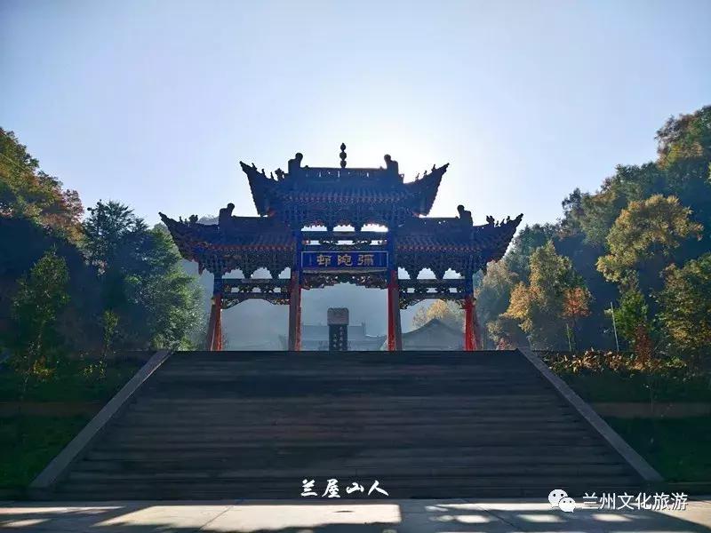 鲁冰花花海哪里可以看,兰州千亩鲁冰花