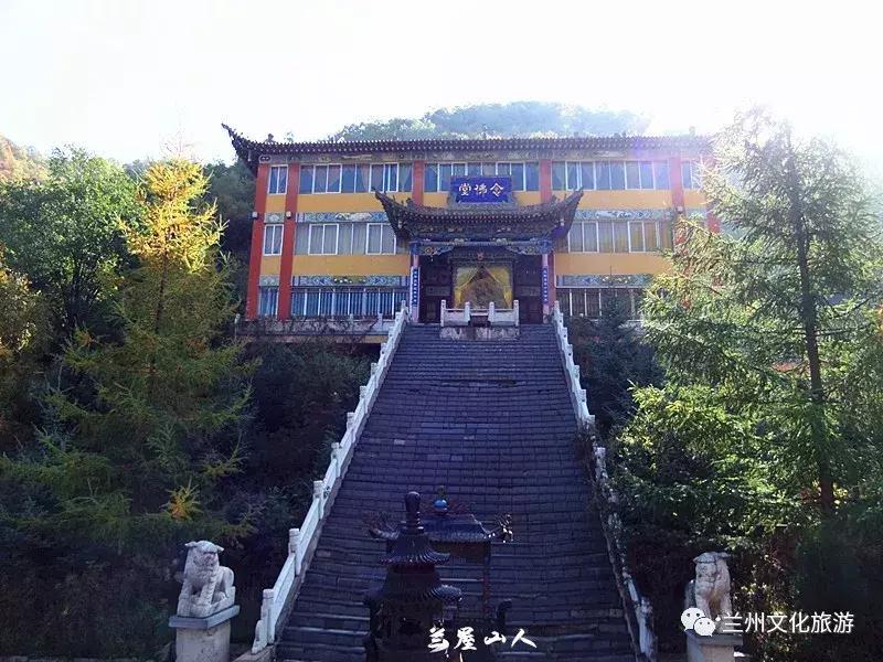 鲁冰花花海哪里可以看,兰州千亩鲁冰花