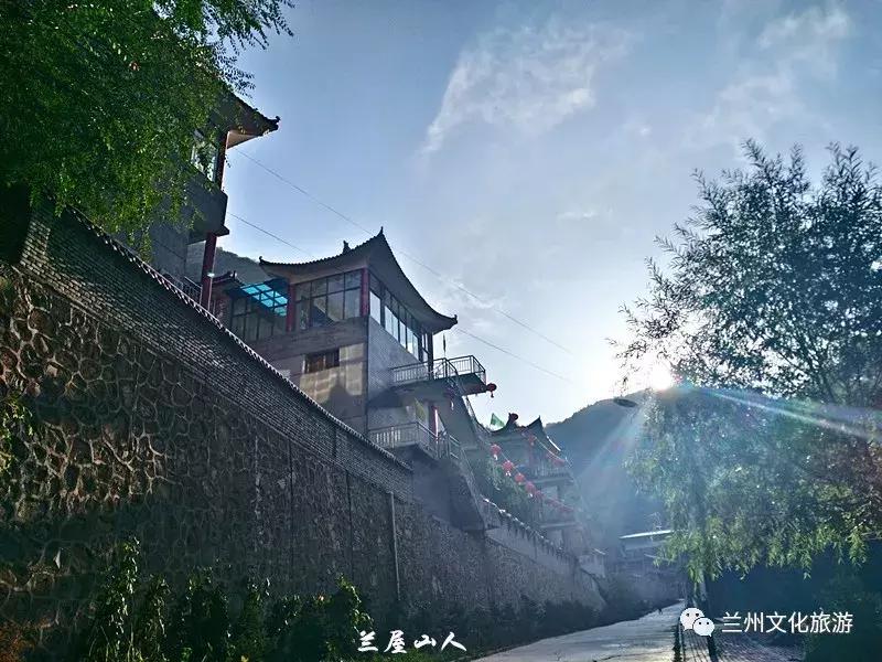 鲁冰花花海哪里可以看,兰州千亩鲁冰花