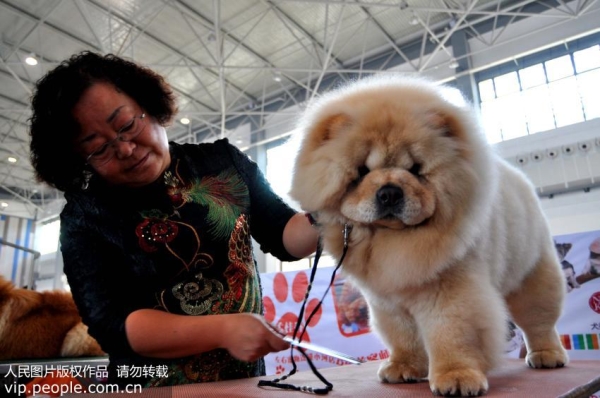 生发洗发水怎么用快速增发,什么洗发水能真正防脱生发