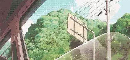 小实验蝌蚪在水里,科学小实验小蝌蚪变青蛙的全过程