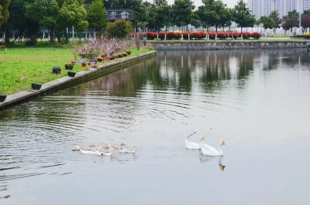 资产近3亿！昆山最有钱的7个村，姑娘争着抢着嫁进来