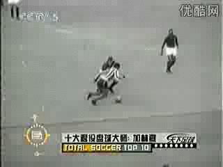 足球各个位置的厉害球员有哪些,世界足球最伟大的十大十号球员