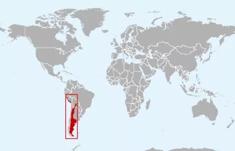 羊驼吐口水当时我想跟它互动一下,羊驼怎么才可以不吐口水